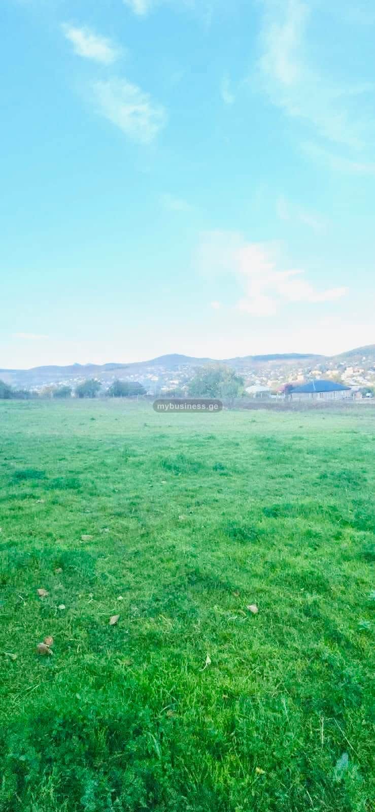 იყიდება მიწის ნაკვეთი დუშეთში (8/9)