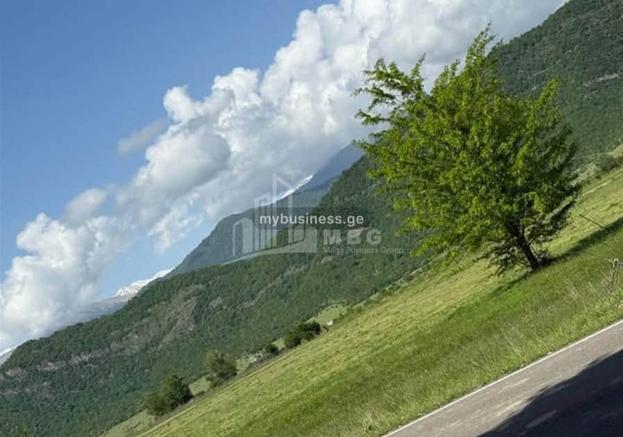 იყიდება აგრობიზნესი თელავში (8/11)