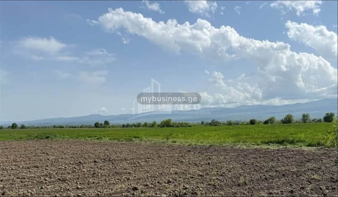 იყიდება აგრობიზნესი თელავში (10/11)