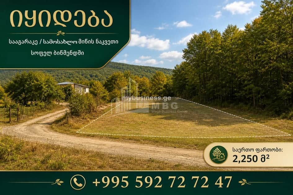 იყიდება მიწის ნაკვეთი (1/3)
