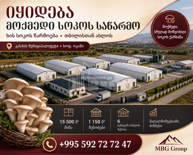 იყიდება საწარმო კასპში (1/20)