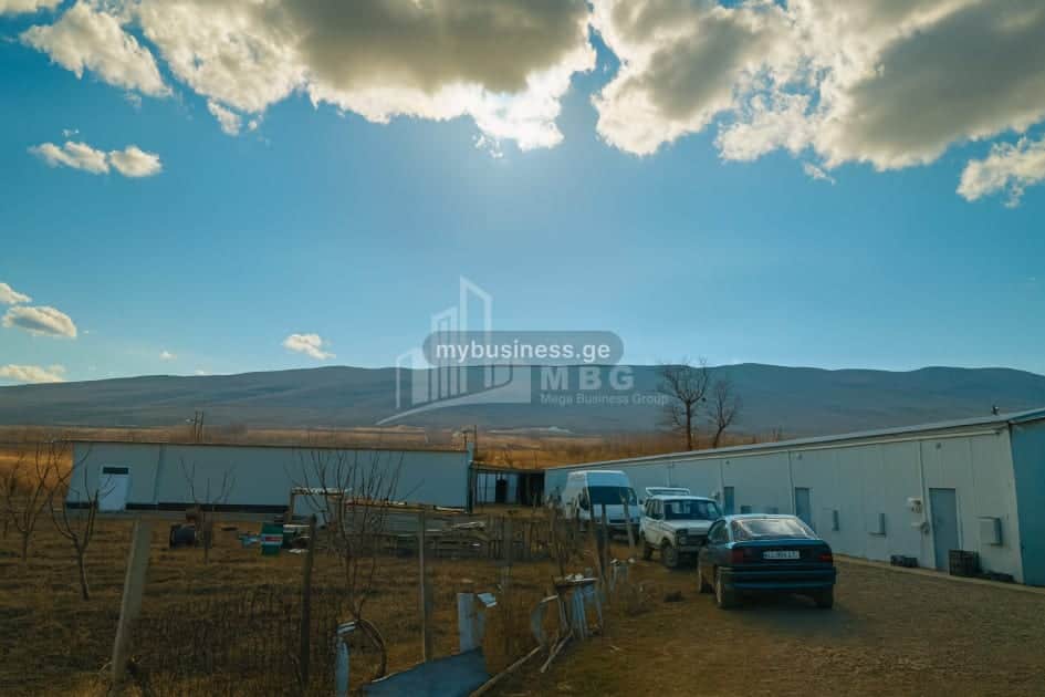 იყიდება საწარმო კასპში (18/20)