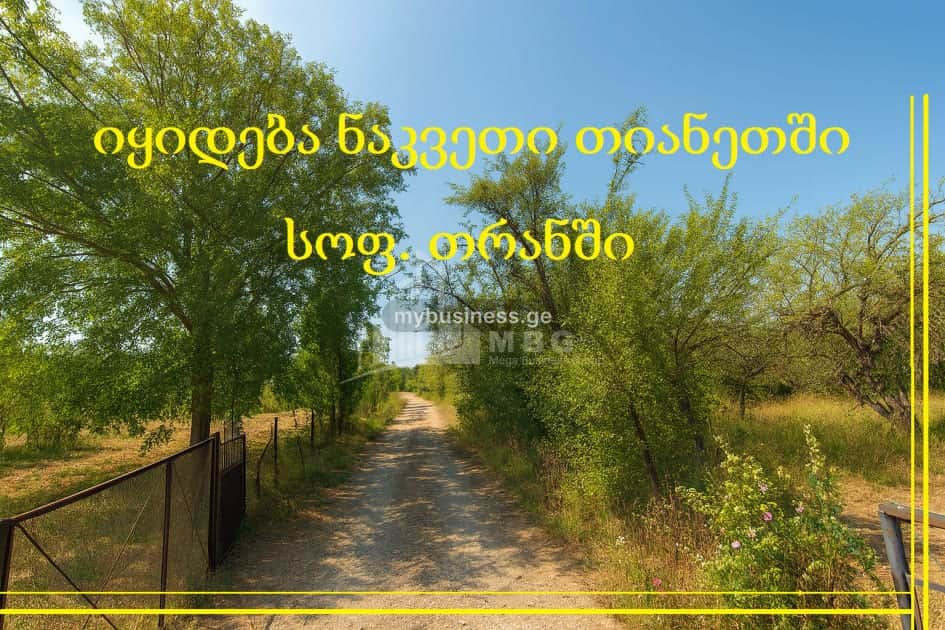 იყიდება მიწის ნაკვეთი (1/4)