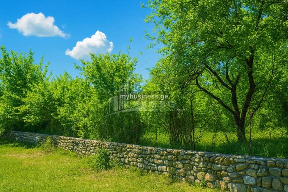 იყიდება უძრავი ქონების სააგენტო თელავში (13/20)